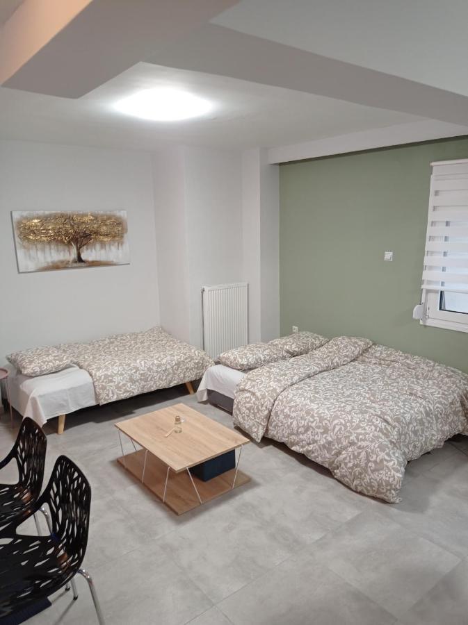 Central Home Trikala  Luaran gambar