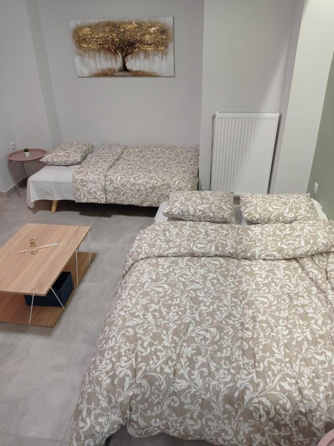 Central Home Trikala  Luaran gambar
